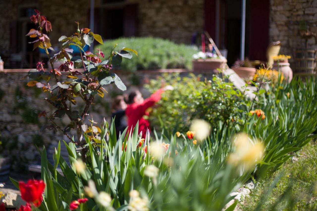 Ancora Del Chianti Acomodação com café da manhã Greve in Chianti Exterior foto